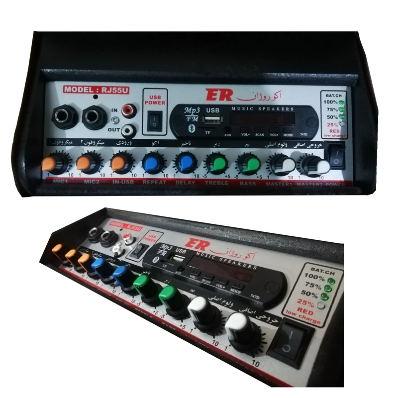 اکو همراه اکوروژان مدل RJ55W به همراه میکروفن بی سیم - تصویر 2